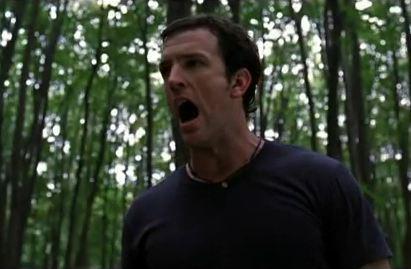 TIMBERFALLS | TIMBERFALLS | 2007