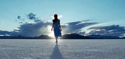 TREE OF LIFE - THE | TREE OF LIFE - THE | 2011