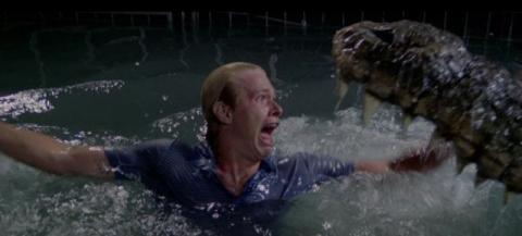 Alligator | Fiume del grande caimano - el | 1979