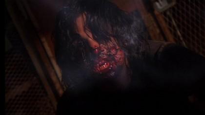 ANIMALS | ANIMALS | 2008