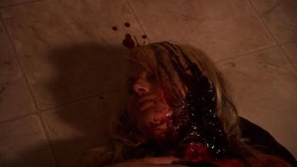 ANIMALS | ANIMALS | 2008