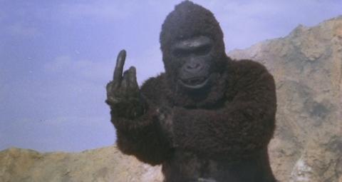 KING KONG REVIENT | A*P*E | 1976