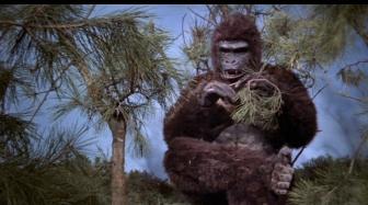 KING KONG REVIENT | A*P*E | 1976
