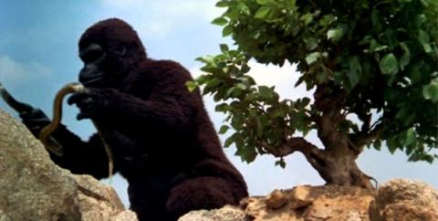 KING KONG REVIENT | A*P*E | 1976