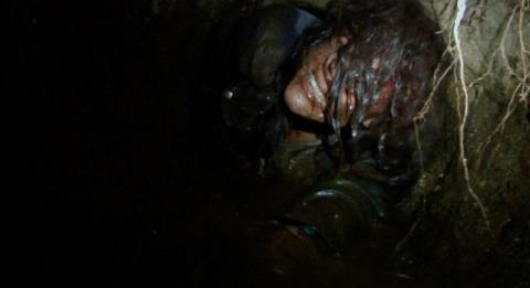 BLAIR WITCH | BLAIR WITCH | 2016