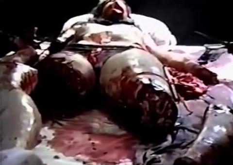 AMERICAN GUINEA PIG | AMERICAN GUINEA PIG : BOUQUETS OF GUTS AND GORE | 2014