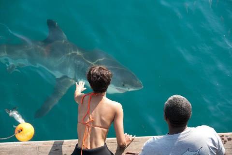 DARK TIDE | DARK TIDE | 2012