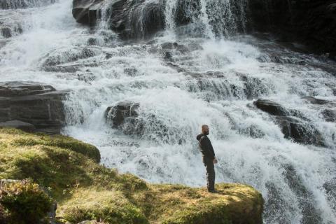 EX MACHINA | EX MACHINA | 2015