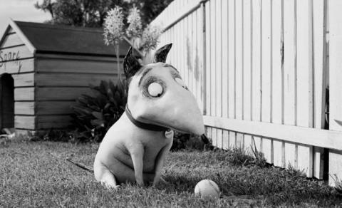 FRANKENWEENIE | FRANKENWEENIE | 2012