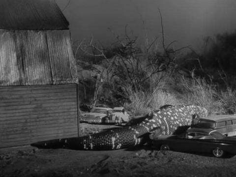 GILA LE MONSTRE GEANT | GIANT GILA MONSTER - THE | 1959