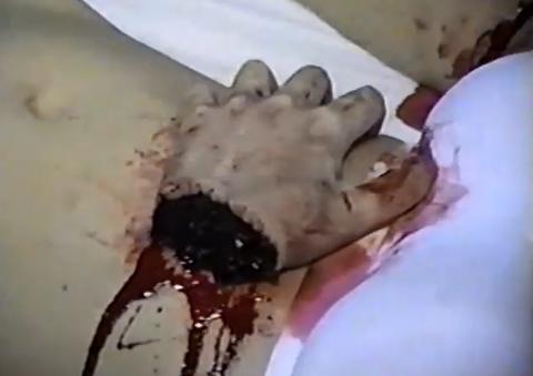 AMERICAN GUINEA PIG | AMERICAN GUINEA PIG : BOUQUETS OF GUTS AND GORE | 2014