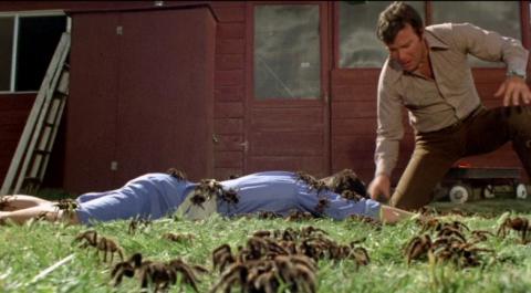 HORRIBLE INVASION - L | KINGDOM OF THE SPIDERS | 1977