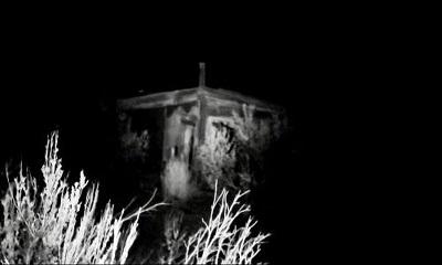 Horror in the high desert | Horror in the high desert | 2021