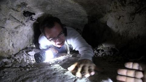 BORDERLANDS - THE | BORDERLANDS - THE | 2013