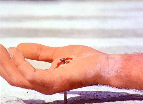 ISLAND OF DEATH | TA PAIDIA TOU DIABOLOU | 1975
