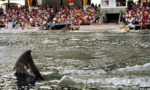 DENTS DE LA MER 3 - LES | JAWS 3D | 1983