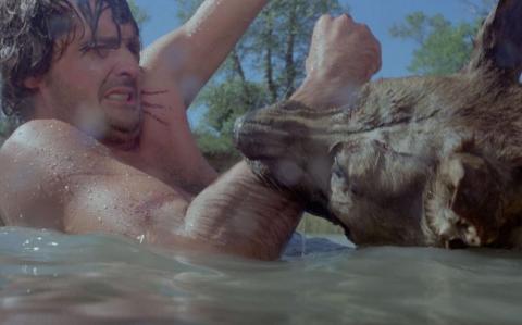 Crocs du diable - les | Perro - el | 1977