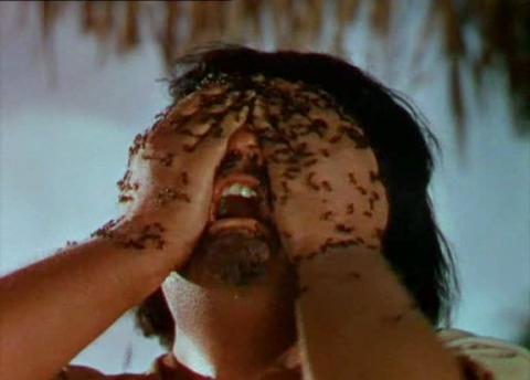 QUAND LA MARABUNTA GRONDE | THE NAKED JUNGLE | 1954