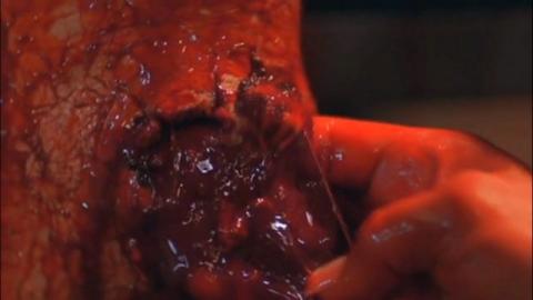 NEIGHBOR | NEIGHBOR | 2009