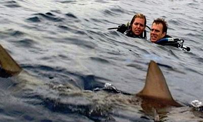 OPEN WATER - EN EAUX PROFONDES | OPEN WATER | 2003
