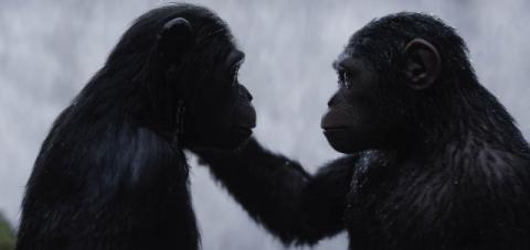 PLANETE DES SINGES : SUPREMATIE - LA | WAR FOR THE PLANET OF THE APES | 2017