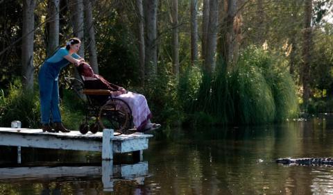 Pearl | Pearl | 2022