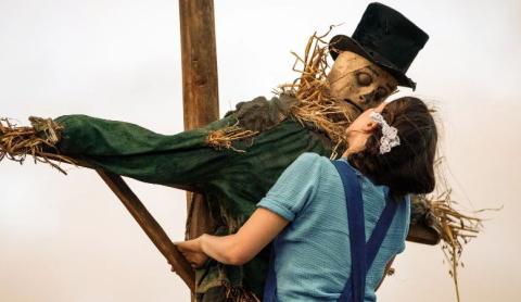 Pearl | Pearl | 2022