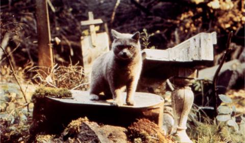 SIMETIERRE | PET SEMETARY | 1988