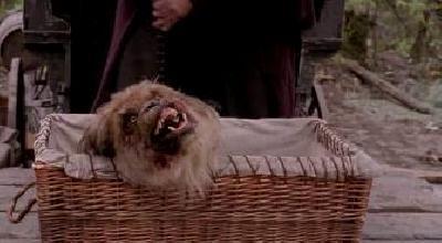 MASTERS OF HORROR : HAECKEL S TALE | JOHN MCNAUGHTON'S HAECKEL'S TALE | 2005