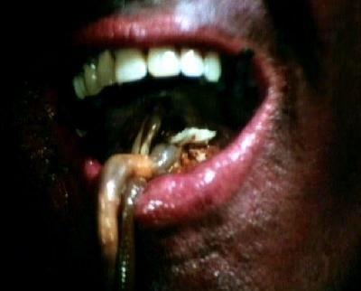 REGAL D ASTICOTS | THE WORM EATERS | 1977