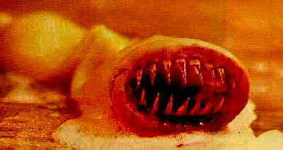 KILLER CONDOM | KONDOM DES GRAUENS | 1996