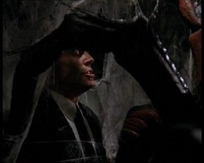 SPIDERS | SPIDERS | 2000