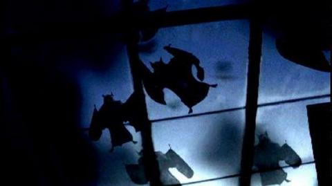 ROOST - THE | THE ROOST | 2005