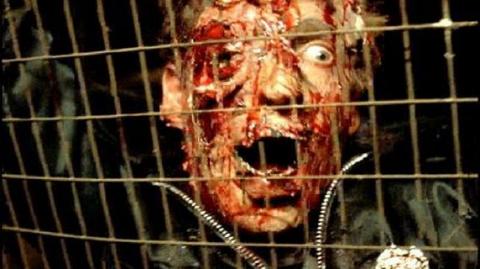 ROOST - THE | THE ROOST | 2005