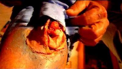 Z MOVIE | Z MOVIE | 2006