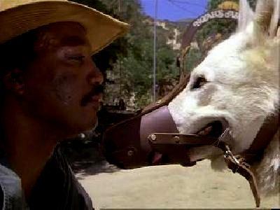DRESSE POUR TUER | WHITE DOG | 1982