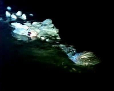 DENTS DE LA MORT - LES | DARK AGE | 1987