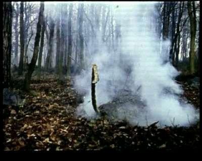 ILE DE LA TERREUR - L | ISLAND OF TERROR | 1966