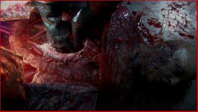 MUTANTE 3 - LA | SPECIES 3 | 2004