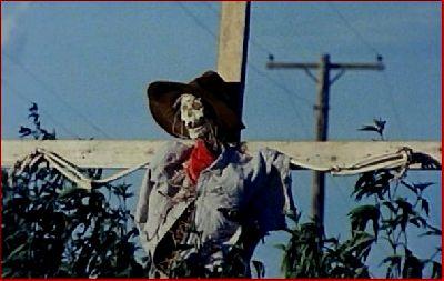 CONTES MACABRES | NIGHT OF THE CROW - THE | 1983