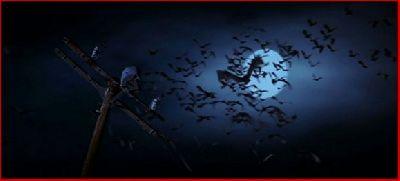 BATS LA NUIT DES CHAUVES-SOURIS | BATS | 1999