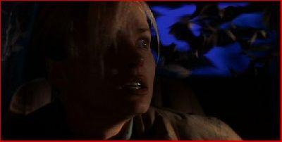 BATS LA NUIT DES CHAUVES-SOURIS | BATS | 1999