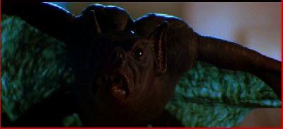 BATS LA NUIT DES CHAUVES-SOURIS | BATS | 1999