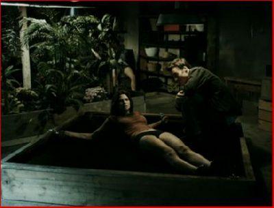 SUMMER S BLOOD | SUMMER S BLOOD | 2009