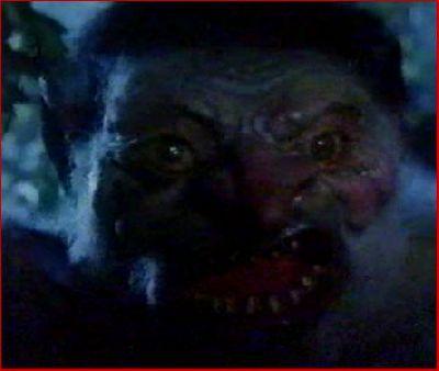 TROLL | TROLL | 1986