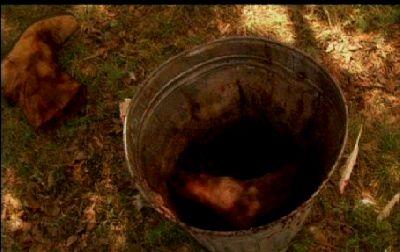 HOBOKEN HOLLOW | HOBOKEN HOLLOW | 2005