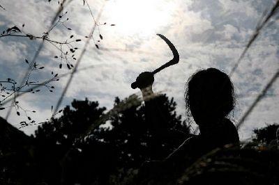 BLOOD ISLAND | KIM-BOK-NAM SAL-IN-SA-EUI JEON-MAL / BEDEVILLED | 2010