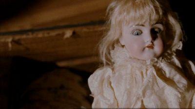 SKEPTIC - THE | THE SKEPTIC | 2009