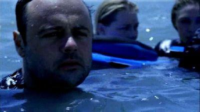 REEF - THE | THE REEF | 2010