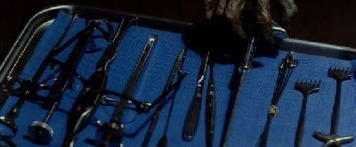 WARD - THE | THE WARD | 2010